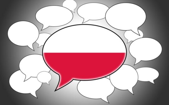 фразеологизмы и идиомы на польском языке